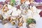 Mixed Natural Sea Shells 80-85PCS for Beach Decor, Assorted Seashells for DIY Crafts, Wedding Party Decorations, Candle Making, Fish Tank Accessories, Vase Fillers, Coastal Home Decor